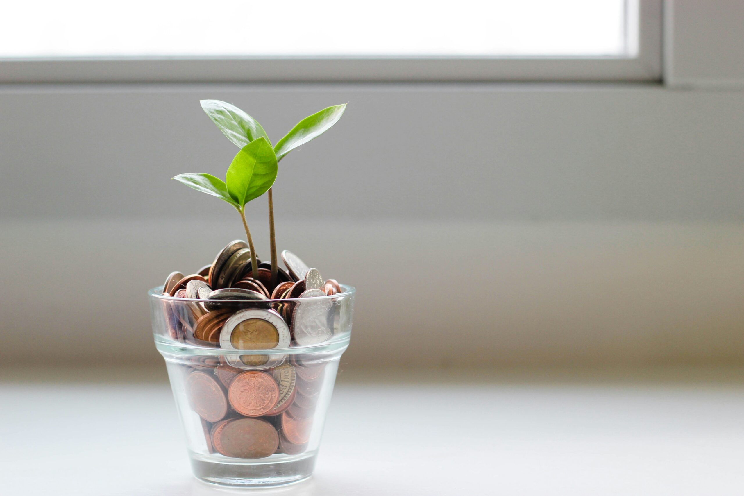 Transparent Plot Planter Containing Coins